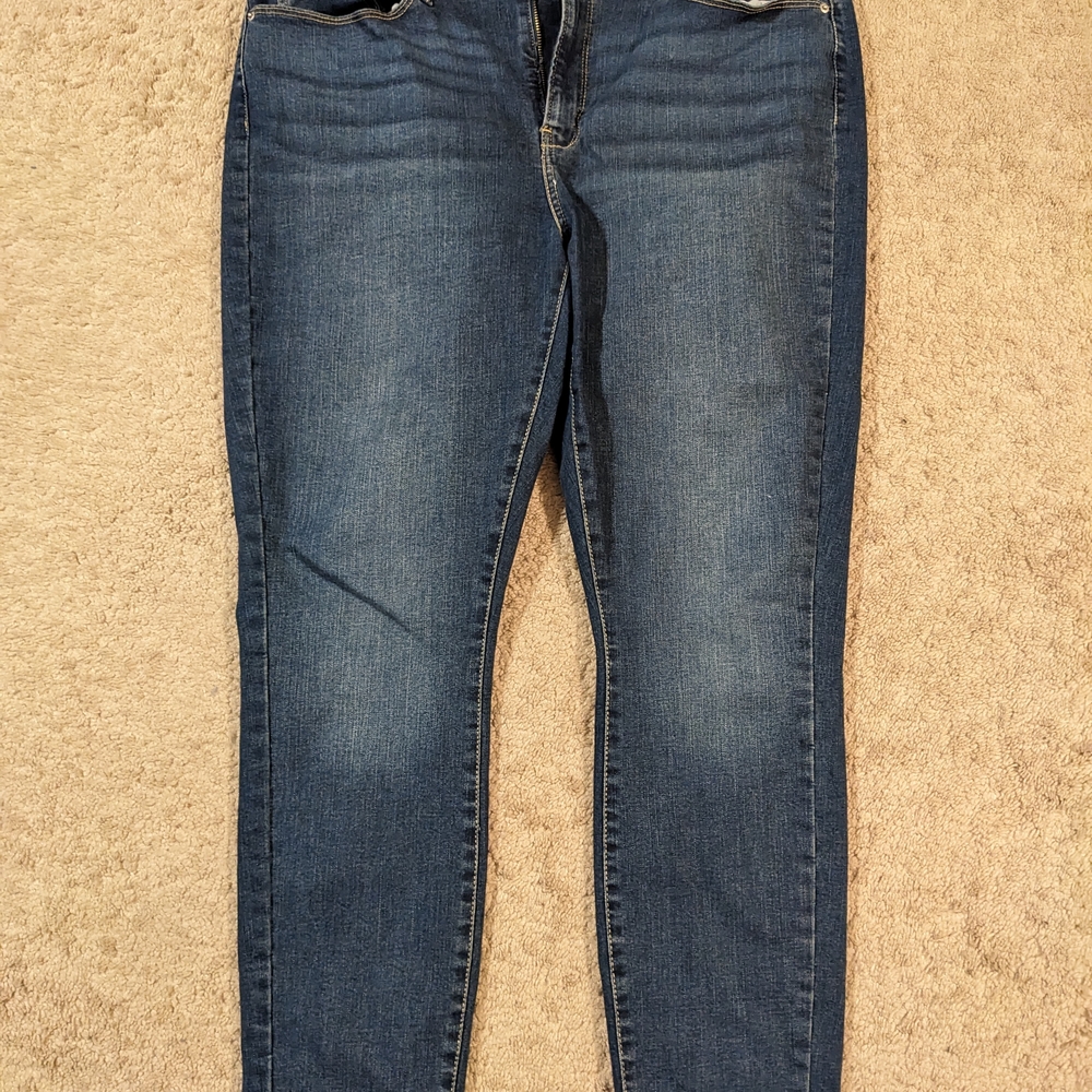 Denizen from Levi's Classic Blue Skinny Jeans